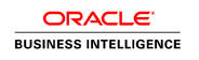 Business Intelligence
